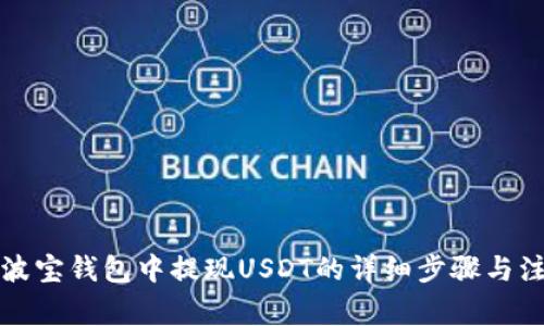 如何在波宝钱包中提现USDT的详细步骤与注意事项