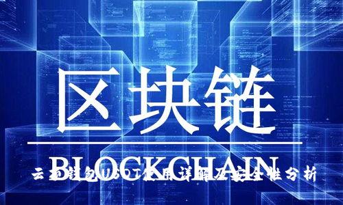云顶钱包USDT使用详解及安全性分析