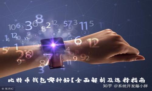 比特币钱包哪种好？全面解析及选择指南