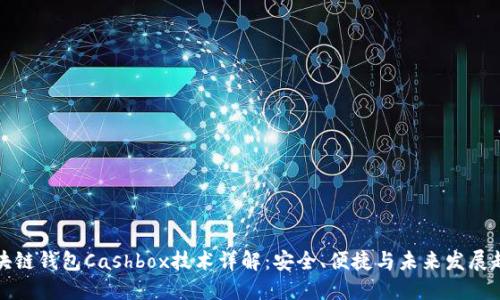 区块链钱包Cashbox技术详解：安全、便捷与未来发展趋势