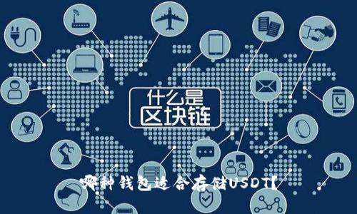 哪种钱包适合存储USDT？