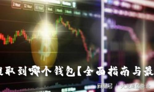 USDT提取到哪个钱包？全面指南与最佳选择