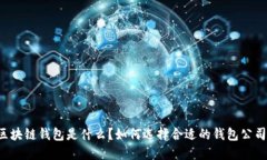 区块链钱包是什么？如何