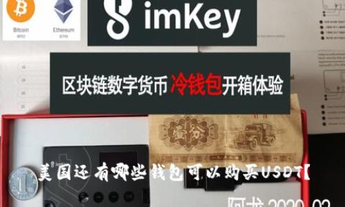 美国还有哪些钱包可以购买USDT？