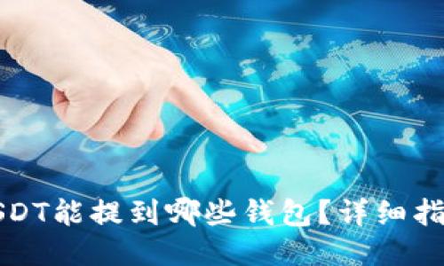 火币的USDT能提到哪些钱包？详细指南与推荐
