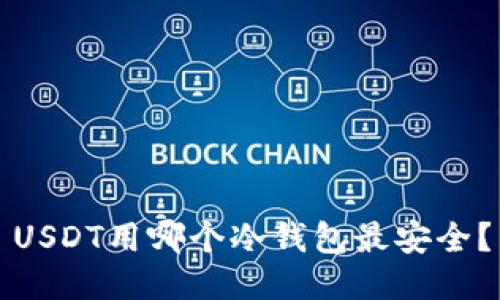 USDT用哪个冷钱包最安全？