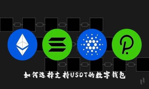 如何选择支持USDT的数字钱包