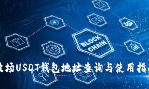 波场USDT钱包地址查询与使用指南