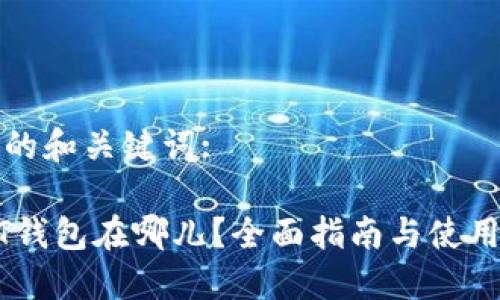 思考的和关键词:

USDT钱包在哪儿？全面指南与使用技巧