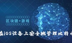 如何在iOS设备上安全地管