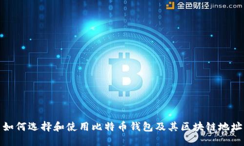如何选择和使用比特币钱包及其区块链地址