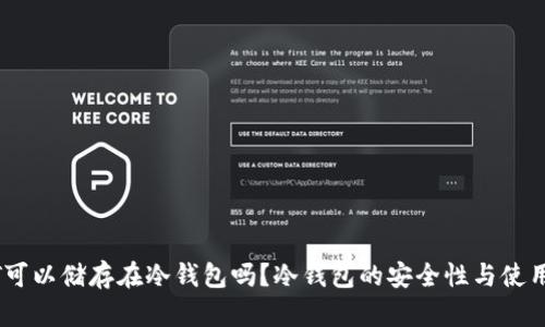 USDT可以储存在冷钱包吗？冷钱包的安全性与使用指南