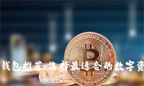 区块链钱包推荐：选择最适合的数字资产钱包