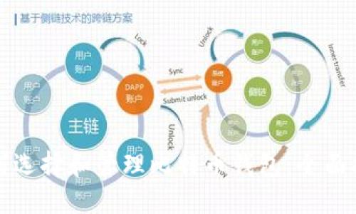 如何选择和管理比特币钱包：全面指南