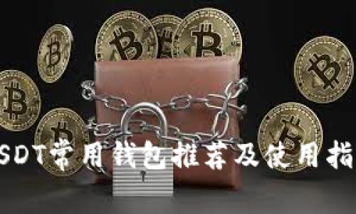 USDT常用钱包推荐及使用指南