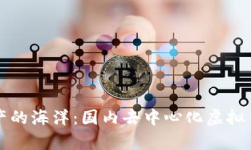 畅游数字资产的海洋：国内去中心化虚拟币钱包全解析