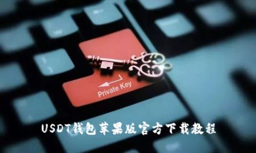 USDT钱包苹果版官方下载教程
