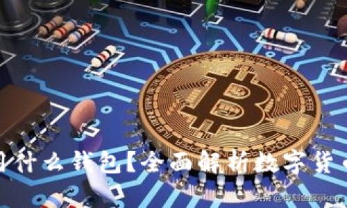 炒虚拟币用什么钱包？全面解析数字货币钱包选择