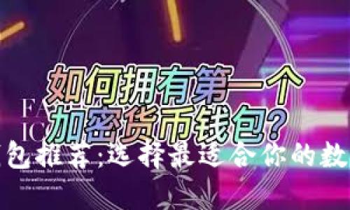 适用的区块链钱包推荐：选择最适合你的数字资产管理工具