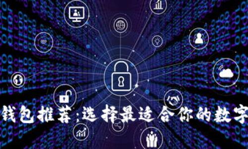 适用的区块链钱包推荐：选择最适合你的数字资产管理工具