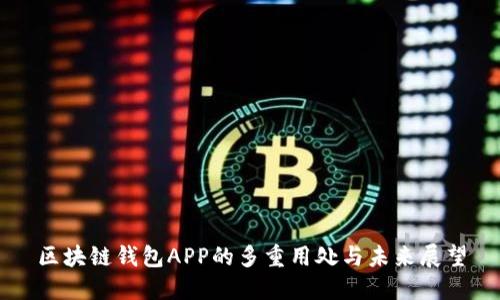 区块链钱包APP的多重用处与未来展望