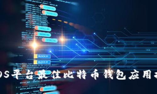 : iOS平台最佳比特币钱包应用推荐