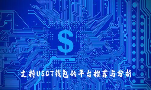 支持USDT钱包的平台推荐与分析