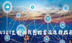 USDT支持的钱包推荐及选择