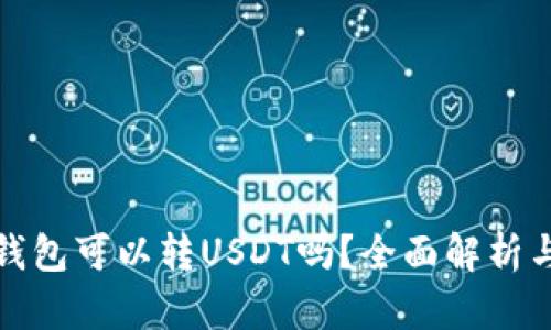 : 小金库钱包可以转USDT吗？全面解析与操作指南