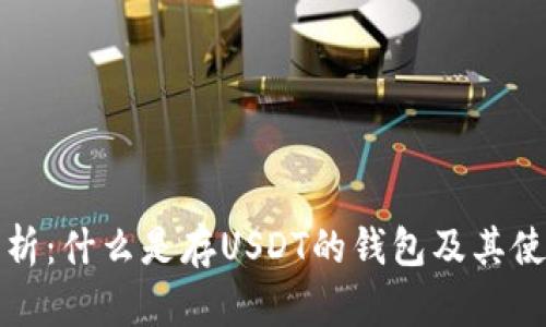 全面解析：什么是存USDT的钱包及其使用指南