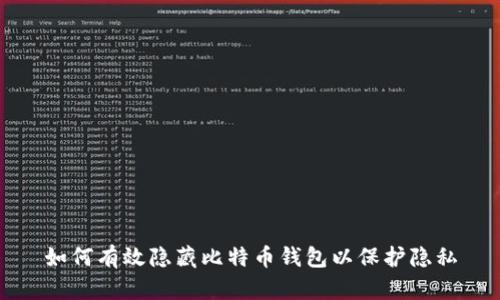 如何有效隐藏比特币钱包以保护隐私