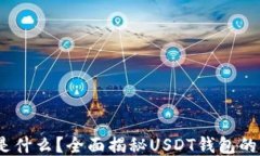 USDT钱包是什么？全面揭秘