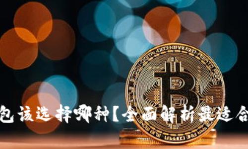 区块链钱包该选择哪种？全面解析最适合你的选择