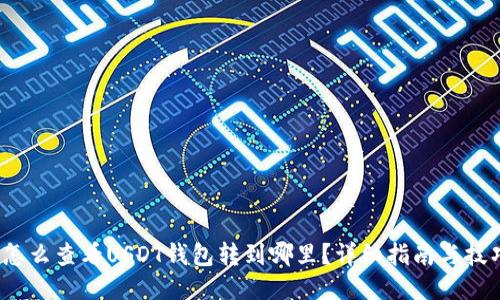  怎么查看USDT钱包转到哪里？详细指南与技巧