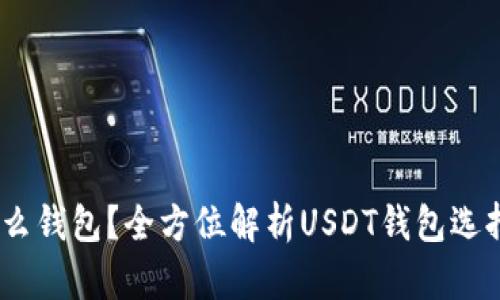 USDT使用什么钱包？全方位解析USDT钱包选择与使用指南
