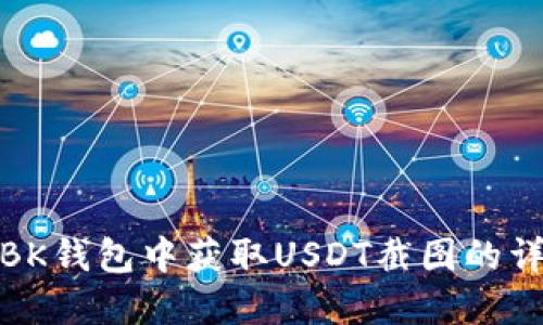 如何在BK钱包中获取USDT截图的详细步骤