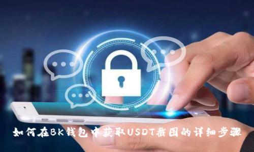 如何在BK钱包中获取USDT截图的详细步骤