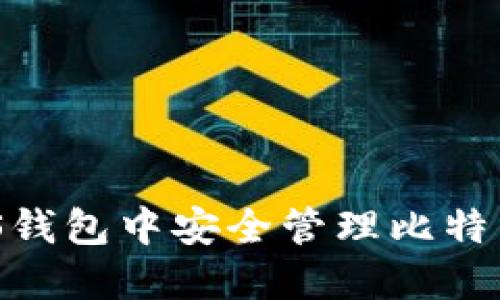 如何在PLUS钱包中安全管理比特币：详细指南