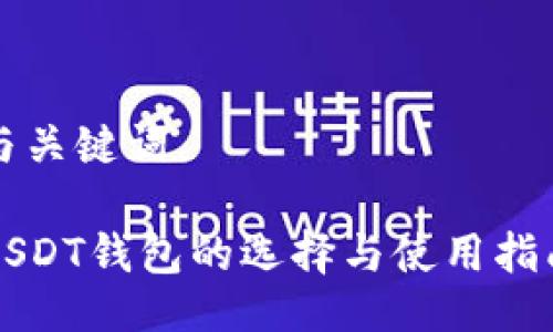 与关键词

USDT钱包的选择与使用指南