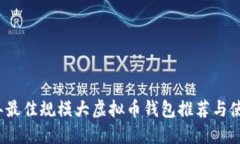 2023年最佳规模大虚拟币钱