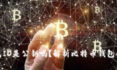 比特币钱包ID是公钥吗？解