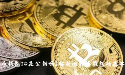 比特币钱包ID是公钥吗？解析比特币钱包的基本概念