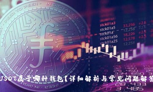 USDT属于哪种钱包？详细解析与常见问题解答