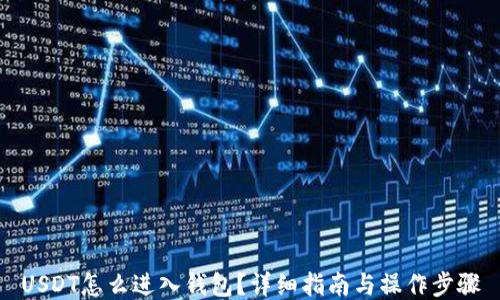 
USDT怎么进入钱包？详细指南与操作步骤