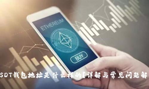 USDT钱包地址是什么样的？详解与常见问题解答