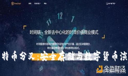 : 冷钱包与比特币分叉：安全存储与数字货币演变的全面解析
