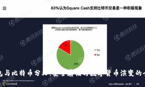 : 冷钱包与比特币分叉：安全存储与数字货币演变的全面解析