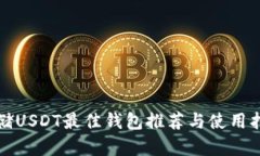 存储USDT最佳钱包推荐与使