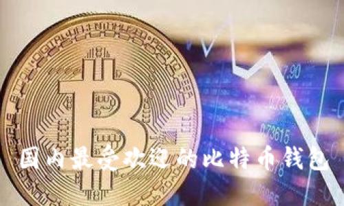 国内最受欢迎的比特币钱包