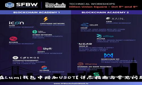 如何在Lumi钱包中增加USDT？详尽指南与常见问题解答